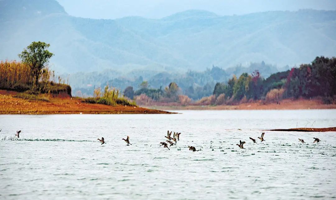 這個(gè)事情不做，砂石礦山企業(yè)不再批新證！